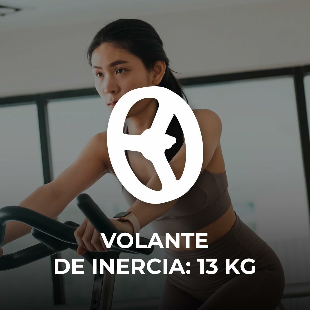 Stationary bike Cecotec INDOOR 13000 DELFOS