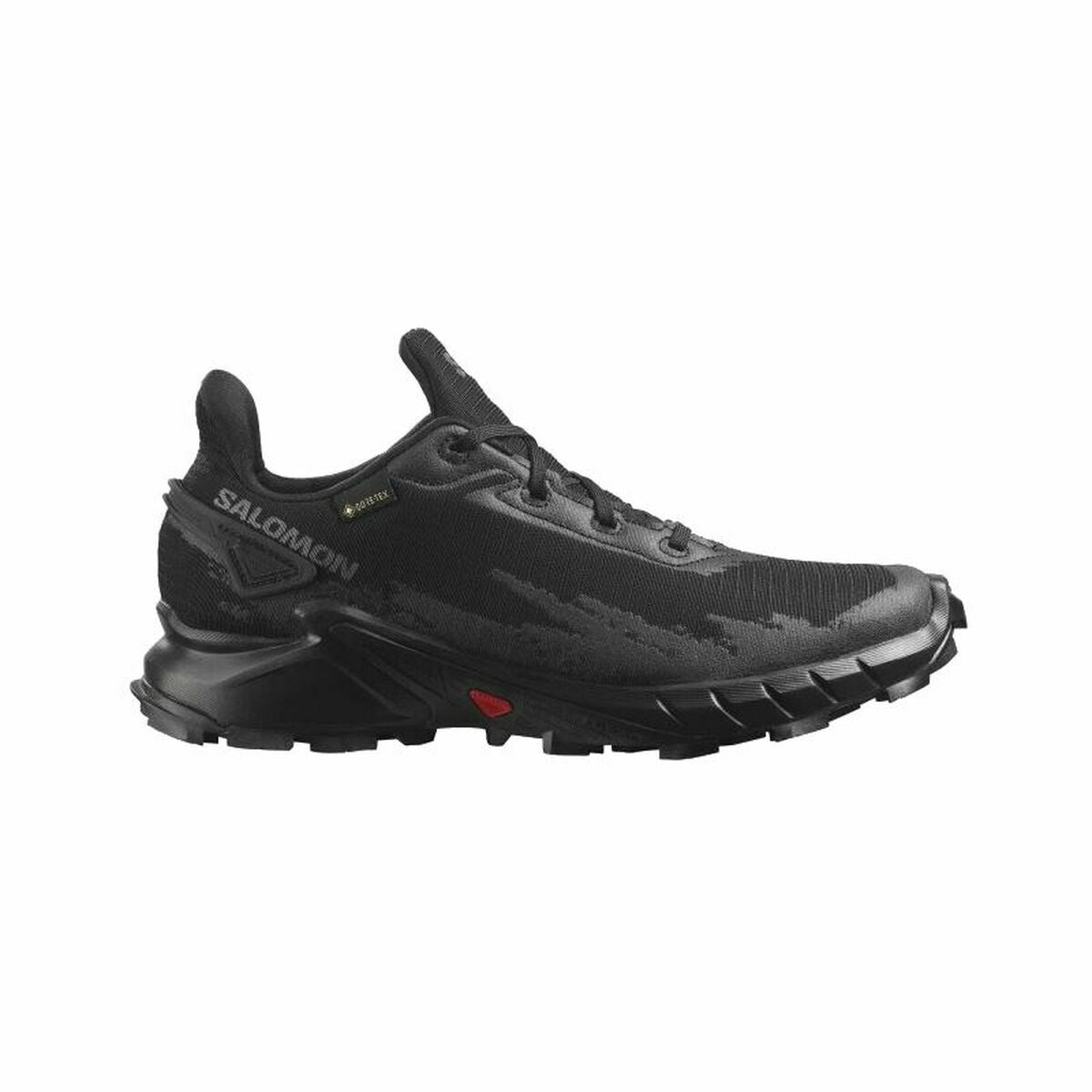 Chaussures de Sport pour Homme Salomon Alphacross 4 Gore-Tex Noir
